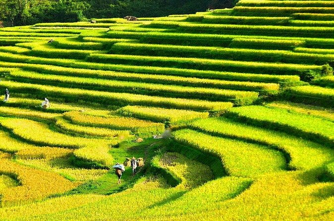 3 Days Pu Luong Off-road Trekking Best for Mountain Lovers - What the small group and guide setup means