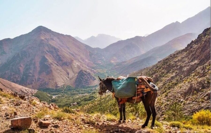 3 Days Trek Atlas Mountains Berber Villages from Marrakech - Guides, group size, and personal attention