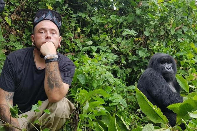 3 Days Uganda Gorilla Trekking Safari - Day two: the Bwindi gorilla trek