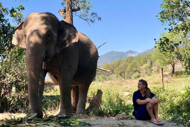 3-in-1: Doi Inthanon Tour, Elephant Sanctuary, and Trekking Trail - What to pack for a mountain day