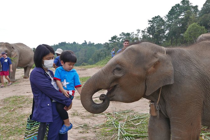 3-in-1: Doi Inthanon Tour, Elephant Sanctuary, and Trekking Trail - Reaching Doi Inthanon at 2,565 meters