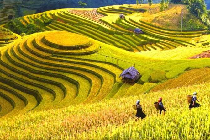 3-Night Sapa Trek and Homestay with Round Trip Transfer from Hanoi - Why the Muong Hoa Valley is the real reason to go