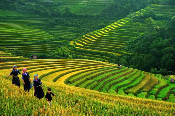 3-Night Sapa Trek and Homestay with Round Trip Transfer from Hanoi - Y Linh Ho and the first mountain walk