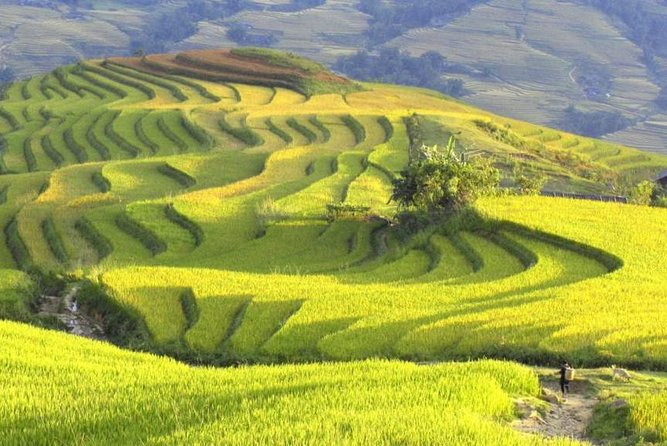 3-Night Sapa Trek and Homestay with Round Trip Transfer from Hanoi - The overnight train from Hanoi to Lao Cai