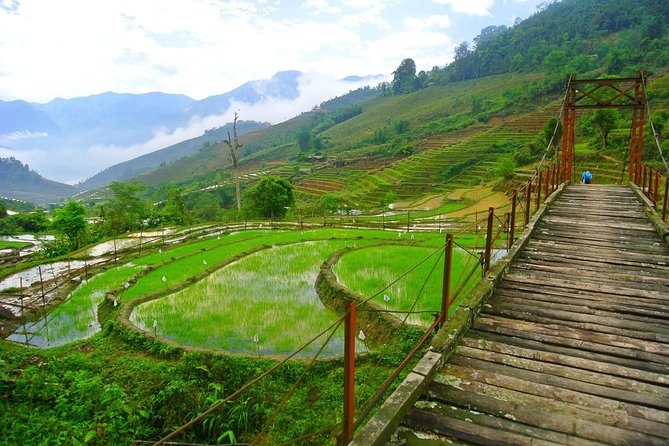 3-Night Sapa Trekking Tour from Hanoi - Day two: Golden Stream valley and rice terraces