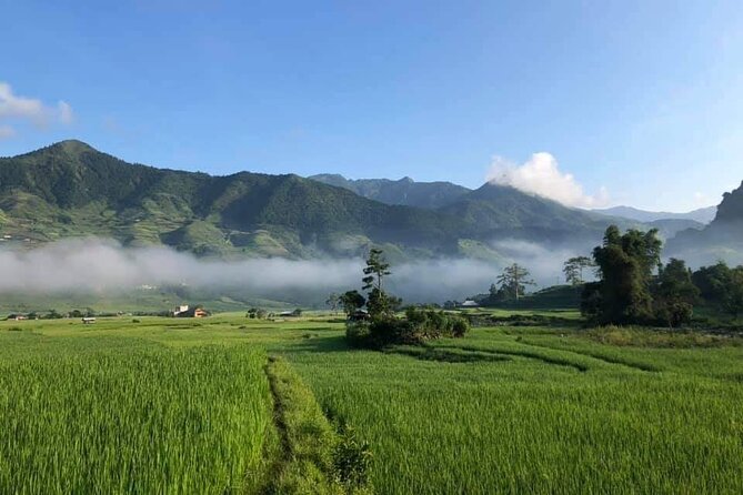 3D2N- Rice Terraces Treks & Easy rider from Sa Pa - Should you book the Mu Cang Chai experience?