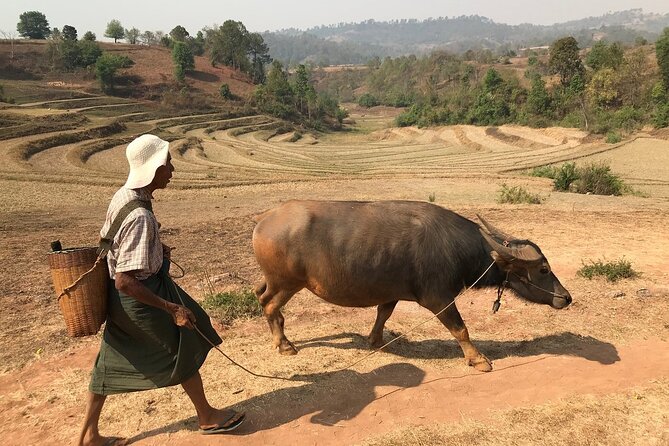3Days Less Touristic Way Trekking from Kalaw To Inle - Why this Kalaw to Inle trek feels different