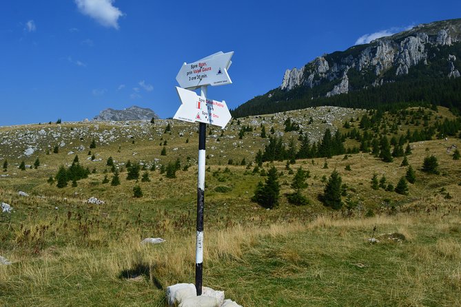 4-Day Carpathian Trek: Bucegi Mountains and Piatra Craiului National Park - Guides who shape the trip