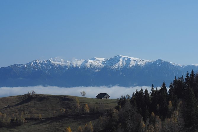 4-Day Carpathian Trek: Bucegi Mountains and Piatra Craiului National Park - Days two through four in Piatra Craiului National Park