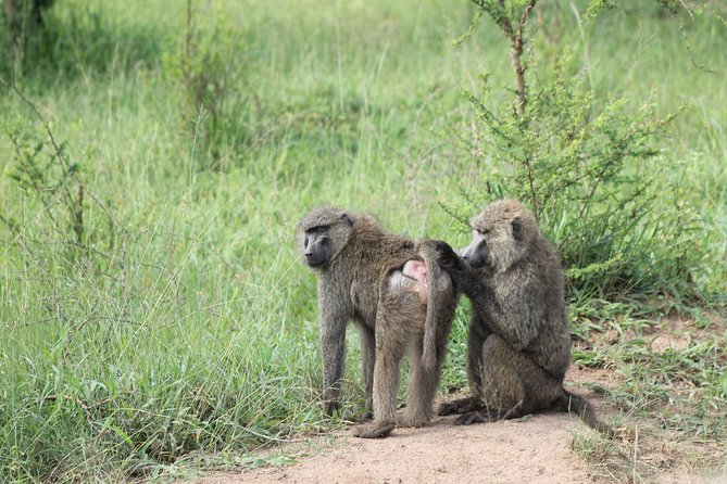 4 Day Gorilla Trekking & Golden Monkeys - Guides and the human side of the trip