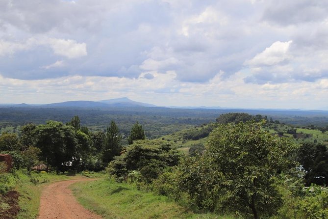 4-Day Gorillas, Wildlife and Chimpanzee Trek at Kalinzu Forest - The local and community angle
