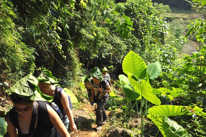 4-Day Jungle Trekking in Ba Be National Park - Day one: Hanoi, ethnic cultures, and a Tay stilt house