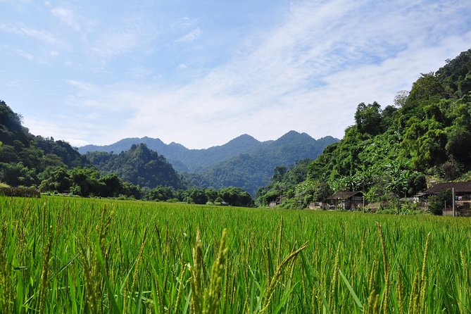 4-Day Jungle Trekking in Ba Be National Park - The homestays are the heart of the experience