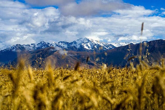 4-Day Lares Trek to Machu Picchu - Day 4: Early buses and a guided Machu Picchu visit