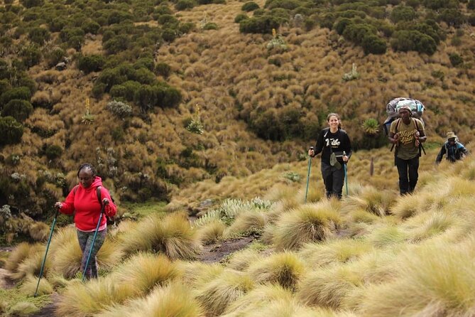 4-Day Mount Kenya Trekking with Pick Up - What the four-day Mount Kenya trek is really like