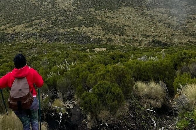 4-Day Mount Kenya Trekking with Pick Up - Day 4: Forest descent and the return to Nairobi