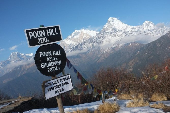 4-day Poon Hill Trek - Timing, Group Size, and Fitness