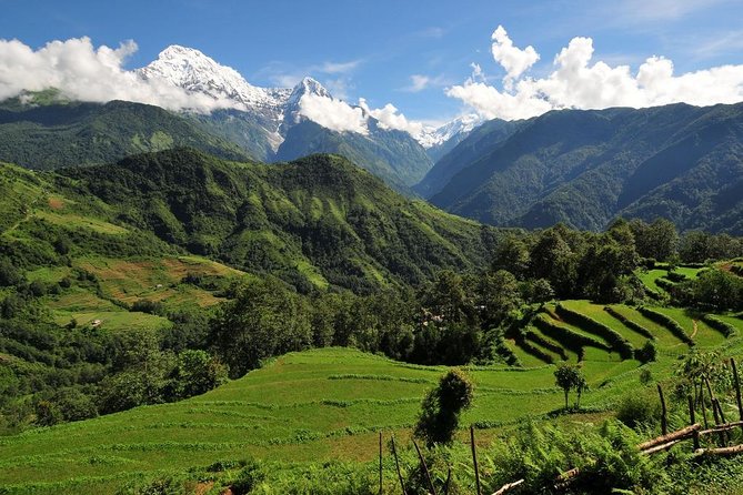 4-day Poon Hill Trek - What You Should Pack and Budget For
