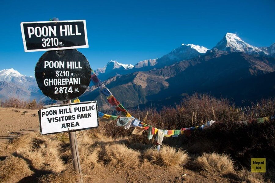 4 Day Poon Hill Trek from Pokhara - Day Two: The Stone Steps to Ulleri and Ghorepani