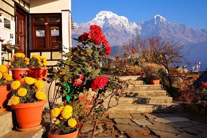 4-Day Private Poon Hill Trekking Tour - Day 4: Final sunrise views and the return to Pokhara