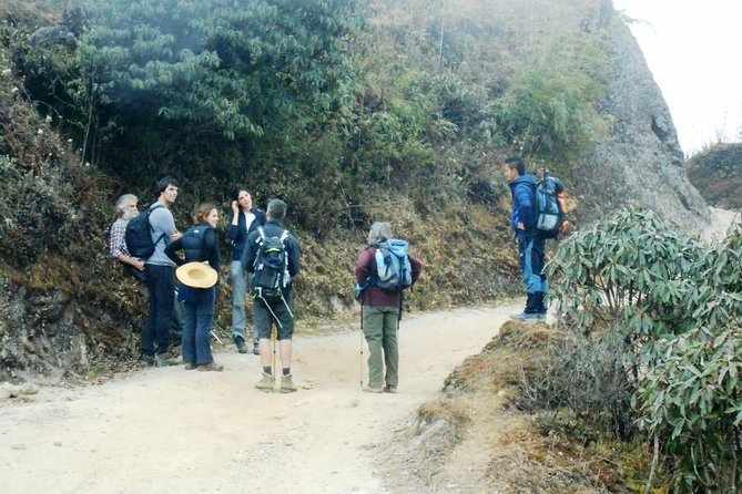 4-Day Sandakphu Private Trek with Accommodation - From Darjeeling to Maneybhanjyang and Dhotre