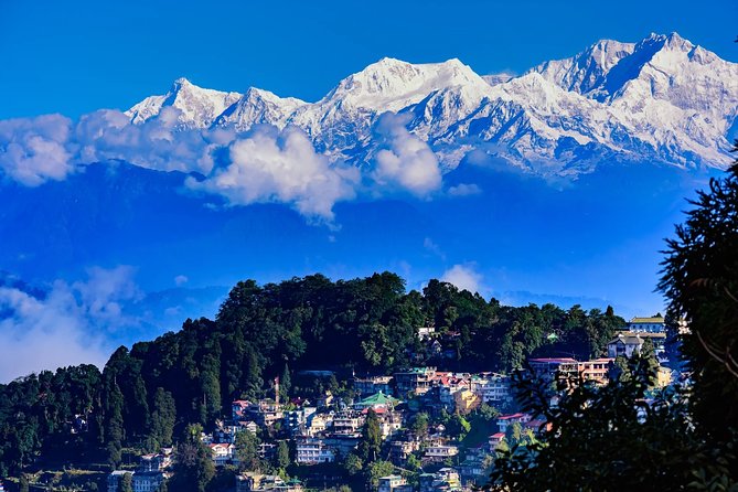 4-Day Sandakphu Private Trek with Accommodation - Tonglu and the first night in the park