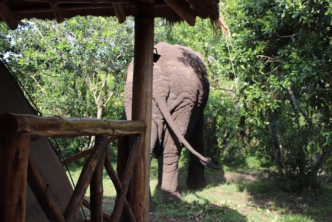 4 Day Uganda Gorilla Trekking Safari with Lake Bunyonyi - What the $2,089.24 price covers