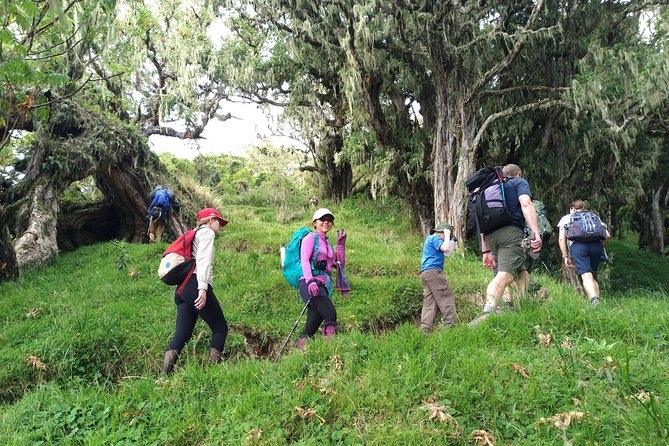 4 Days Mount Meru Trekking - Who should choose this trek