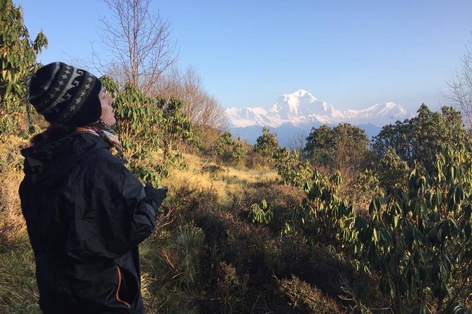 4 Days Poon Hill Trek - Why Poon Hill works as a short Himalayan trek