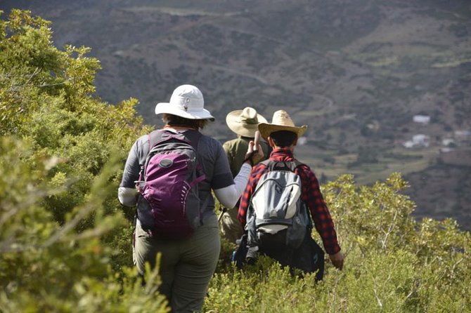 4 days trekking in the Rif mountains - Day three: waterfalls, God’s Bridge, and Akchour