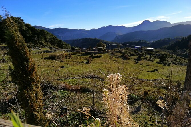 4 days trekking in the Rif mountains - Day four: a final view over Chefchaouen
