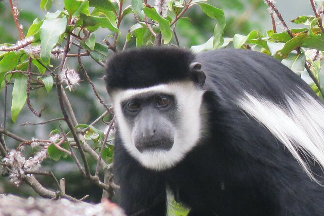 5-Day Bwindi Gorilla and Chimpanzee Trekking Safari in Uganda - The return to Kampala includes the Equator stop