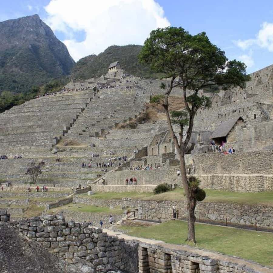5-Day Classic Salkantay Trek to Machu Picchu return by Train - Day three: Jungle trail and Cocalmayo hot springs