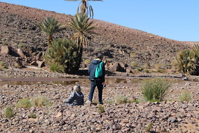 5-day trek - In the Draa Valley - Ergs that connect desert scenery with local history