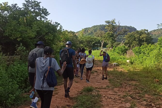 5-Day Trekking in Kédougou from Dakar - Meals, drinks, and the real cost of the trip