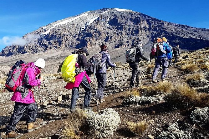 5 Days cheapest Kilimanjaro Marangu Route - Why the Marangu Route remains so popular