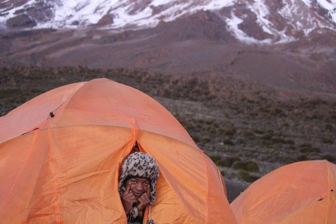 5 Days cheapest Kilimanjaro Marangu Route - Day 5: the long descent to Marangu Gate