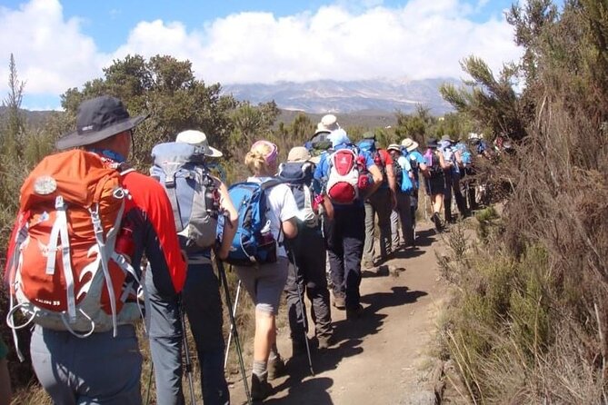 5 Days Classic Kilimanjaro Climb via Marangu route - Day 1: Rainforest, Mandara Hut, and Maundi Crater