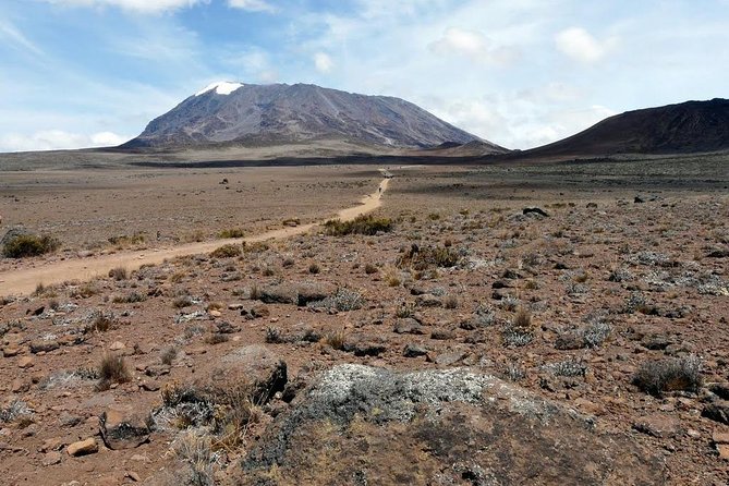 5 Days Marangu Route Kilimanjaro Trekking - Day 2: From Mandara Hut to the open moorland
