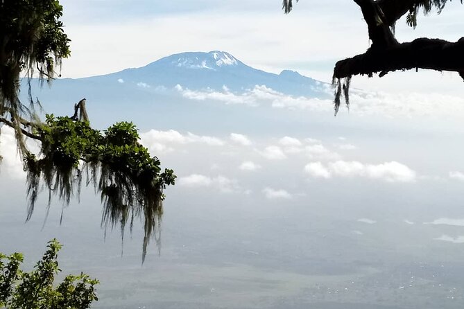 5 Days Marangu Route Kilimanjaro Trekking - Day 4: The hard night to Gilman’s Point and Uhuru Peak