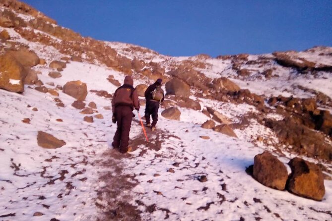 5 Days Marangu Route Kilimanjaro Trekking - Day 5: A wet forest descent to the park gate