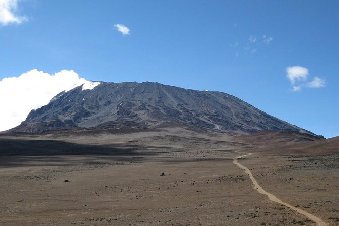 5 Days Marangu Route Kilimanjaro Trekking - Day 1: Rainforest from Marangu Gate to Mandara