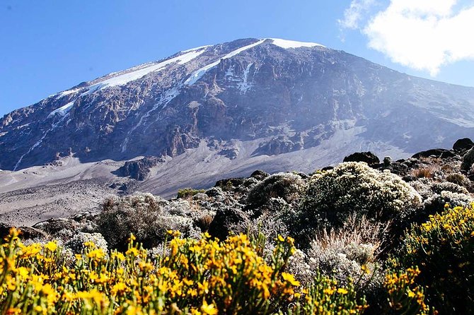 5 Days Marangu Route - Mount Kilimanjaro Trek - Day 6: Horombo Hut to the park gate