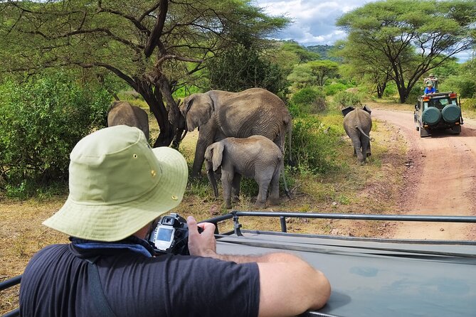 5 days safari, hiking & culture (Serengeti & kilimanjaro) - Materuni waterfall and coffee near Kilimanjaro
