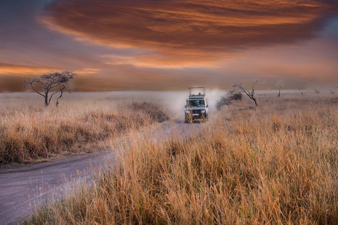 5 days safari, hiking & culture (Serengeti & kilimanjaro) - Kikuletwa hot springs as the final stop