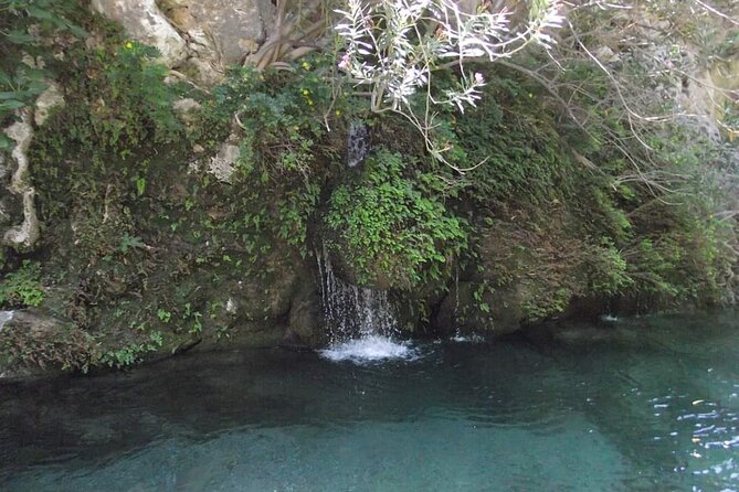 5-Hour Shared River Trekking in Kourtaliotiko Gorge - The final stop at Banana Garden