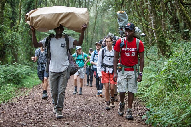 6-Day Guided Tour in Machame Route Mt Kilimanjaro - Day 2: Heather and moorland at Shira Camp