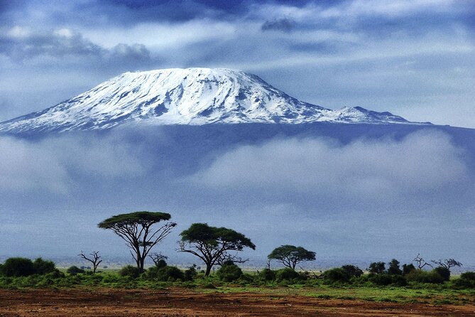 6 Day: Hiking Kilimanjaro via Machame Route - Key points before you book