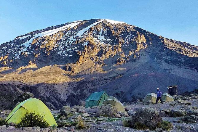 6 Day: Hiking Kilimanjaro via Machame Route - Day 2: Leaving the trees for Shira’s open country