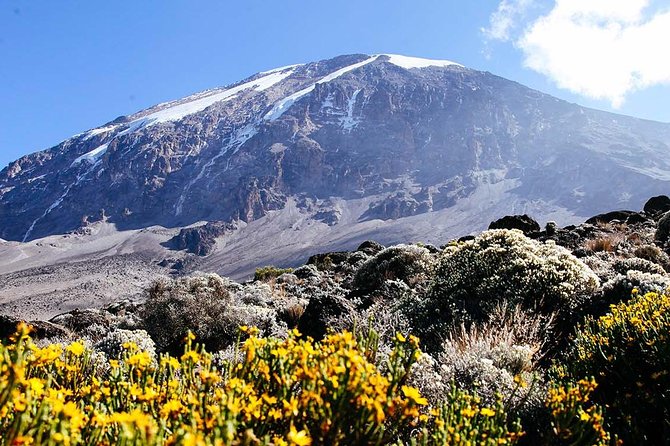 6 Day Machame Route - Climb Mount Kilimanjaro - What the $2,000 Kilimanjaro package means